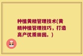 种植黄精管理技术(黄精种植管理技巧，打造高产优质田园。)