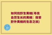 如何找野生黄精(寻找自然生长的黄精：探索野外黄精的生态之旅)