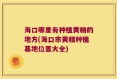 海口哪里有种植黄精的地方(海口市黄精种植基地位置大全)