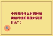 中药黄精什么时间种植黄精种植的最佳时间是什么？)