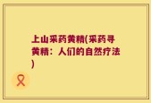 上山采药黄精(采药寻黄精：人们的自然疗法)
