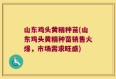 山东鸡头黄精种苗(山东鸡头黄精种苗销售火爆，市场需求旺盛)