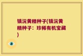 镇沅黄精种子(镇沅黄精种子：珍稀有机宝藏)
