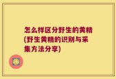 怎么样区分野生的黄精(野生黄精的识别与采集方法分享)