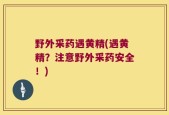 野外采药遇黄精(遇黄精？注意野外采药安全！)