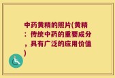 中药黄精的照片(黄精：传统中药的重要成分，具有广泛的应用价值)