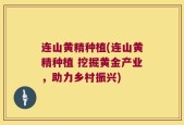连山黄精种植(连山黄精种植 挖掘黄金产业，助力乡村振兴)