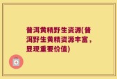 普洱黄精野生资源(普洱野生黄精资源丰富，显现重要价值)