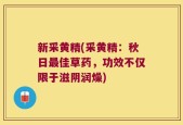 新采黄精(采黄精：秋日最佳草药，功效不仅限于滋阴润燥)