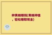 种黄精赚钱(黄精种植，轻松赚取现金)
