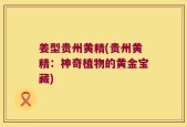 姜型贵州黄精(贵州黄精：神奇植物的黄金宝藏)