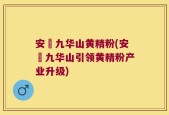 安藯九华山黄精粉(安藯九华山引领黄精粉产业升级)