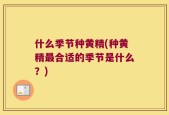 什么季节种黄精(种黄精最合适的季节是什么？)
