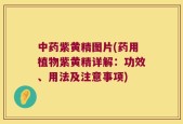 中药紫黄精图片(药用植物紫黄精详解：功效、用法及注意事项)
