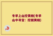 冬季上山挖黄精(冬季山中寻宝：挖掘黄精)