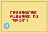 广安高杆黄精(广安高杆上矗立黄精草，象征“城市之光”)