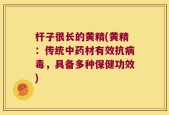 杆子很长的黄精(黄精：传统中药材有效抗病毒，具备多种保健功效)