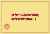 猪为什么喜欢吃黄精(猪为何爱吃黄精？)