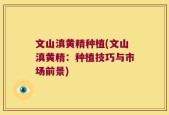 文山滇黄精种植(文山滇黄精：种植技巧与市场前景)