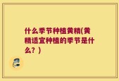 什么季节种植黄精(黄精适宜种植的季节是什么？)
