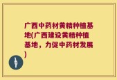 广西中药材黄精种植基地(广西建设黄精种植基地，力促中药材发展)