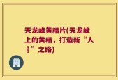 天龙峰黄精片(天龙峰上的黄精，打造新“人蔘”之路)