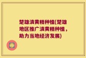 楚雄滇黄精种植(楚雄地区推广滇黄精种植，助力当地经济发展)