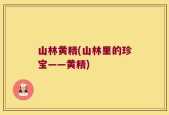 山林黄精(山林里的珍宝——黄精)