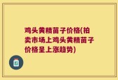鸡头黄精苗子价格(拍卖市场上鸡头黄精苗子价格呈上涨趋势)