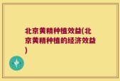 北京黄精种植效益(北京黄精种植的经济效益)