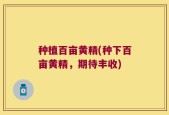 种植百亩黄精(种下百亩黄精，期待丰收)