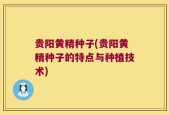 贵阳黄精种子(贵阳黄精种子的特点与种植技术)