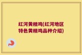 红河黄精鸡(红河地区特色黄精鸡品种介绍)