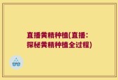 直播黄精种植(直播：探秘黄精种植全过程)