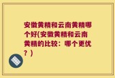 安徽黄精和云南黄精哪个好(安徽黄精和云南黄精的比较：哪个更优？)