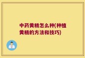 中药黄精怎么种(种植黄精的方法和技巧)