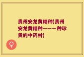 贵州安龙黄精种(贵州安龙黄精种——一种珍贵的中药材)