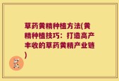草药黄精种植方法(黄精种植技巧：打造高产丰收的草药黄精产业链)