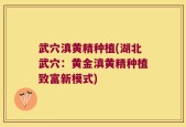 武穴滇黄精种植(湖北武穴：黄金滇黄精种植致富新模式)
