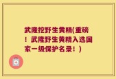 武隆挖野生黄精(重磅！武隆野生黄精入选国家一级保护名录！)