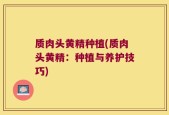 质肉头黄精种植(质肉头黄精：种植与养护技巧)
