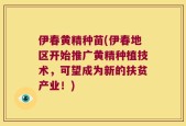 伊春黄精种苗(伊春地区开始推广黄精种植技术，可望成为新的扶贫产业！)