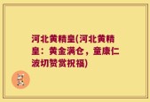 河北黄精皇(河北黄精皇：黄金满仓，童康仁波切赞赏祝福)