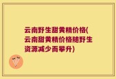 云南野生甜黄精价格(云南甜黄精价格随野生资源减少而攀升)