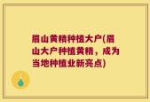 眉山黄精种植大户(眉山大户种植黄精，成为当地种植业新亮点)