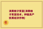 滇黄精子育苗(滇黄精子育苗技术，种植高产优质经济作物)