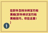 在野外怎样分辨玉竹和黄精(野外辨识玉竹和黄精技巧，尽在这里！)