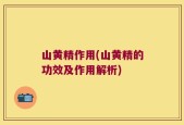 山黄精作用(山黄精的功效及作用解析)