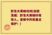 野生大黄精功效(秘密发掘：野生大黄精妙用惊人，曾被中药局重点保护！)