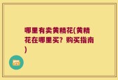 哪里有卖黄精花(黄精花在哪里买？购买指南)